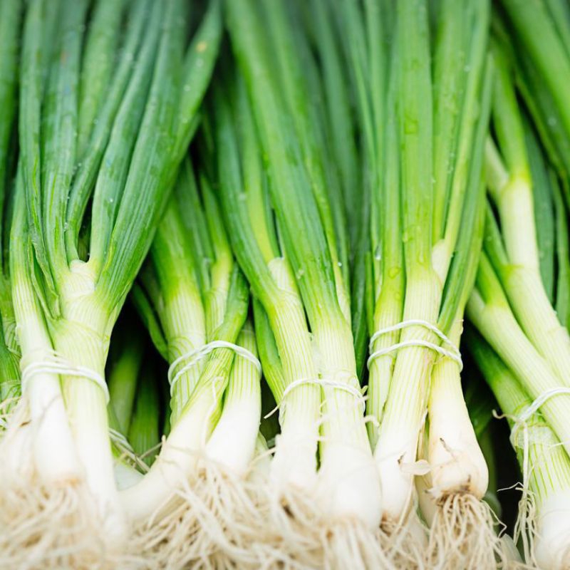 

daun bawang fresh