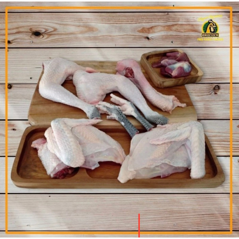 

Ayam Kampung Brocock