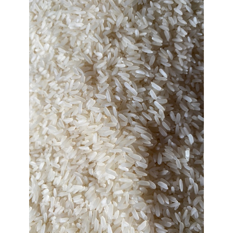 

Beras Siam Rukut / Beras Banjar Asli tanpa campuran di panen dari petani langsung