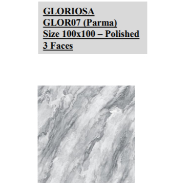 NIRO GRANITE GLORIOSA POLISHED GLOR07 PARMA 100X100
