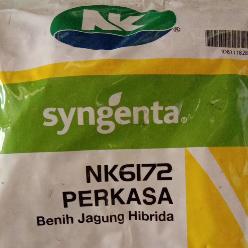 NK6172 Perkasa Benih jagung Hibrida