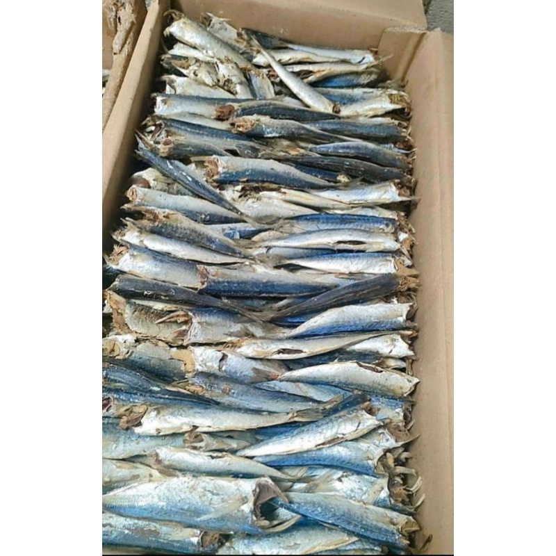 

Ikan asin layang rebus tanpa kepala kemasan 250 gr ,500 gr dan 1 kg