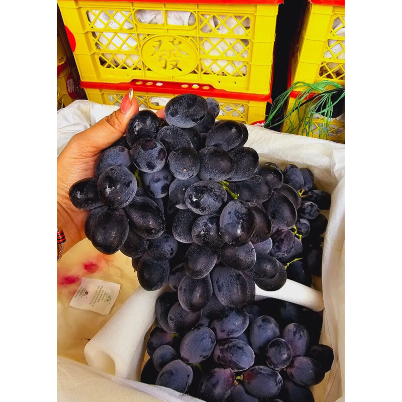 

Anggur Autum Jumbo Manis 1kg