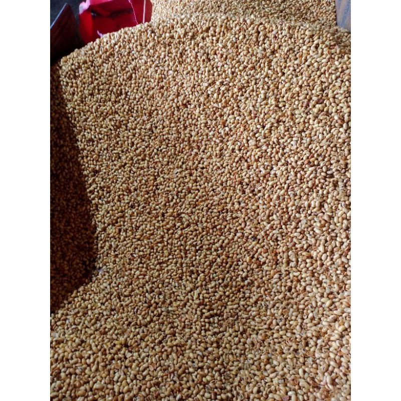 

ADY78 Termurah Kacang Kedelai Matang 1KG Bonus Bubble Wrap