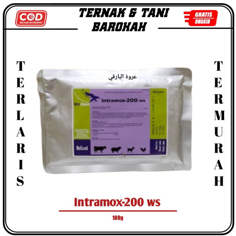 Intramox 200 ws 100 gram