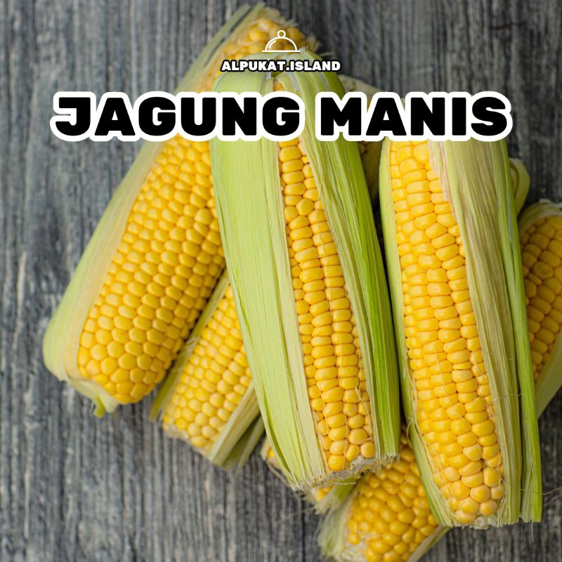 

jagung manis 1 kg