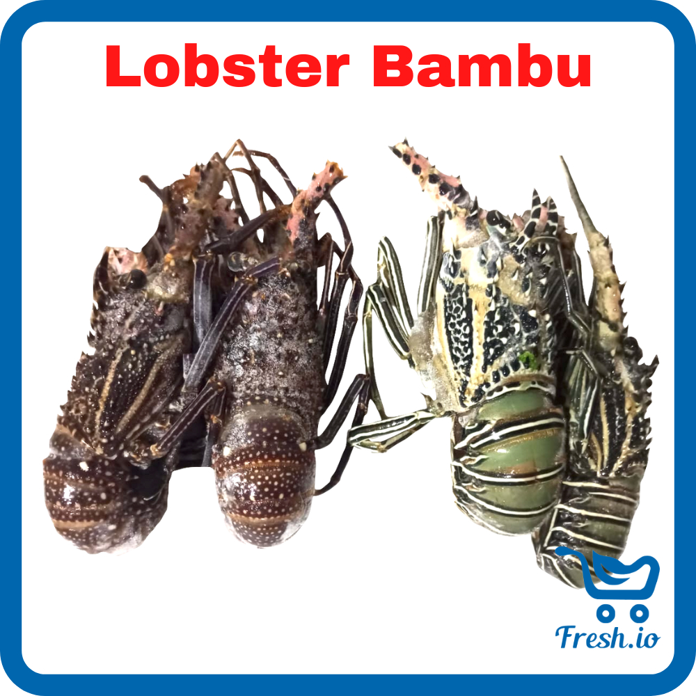 

Lobster Bambu