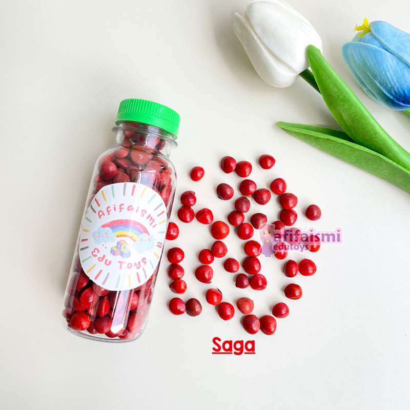 Kerajinan Kolase Biji-bijian Saga Merah untuk Prakarya tugas by afifaismi