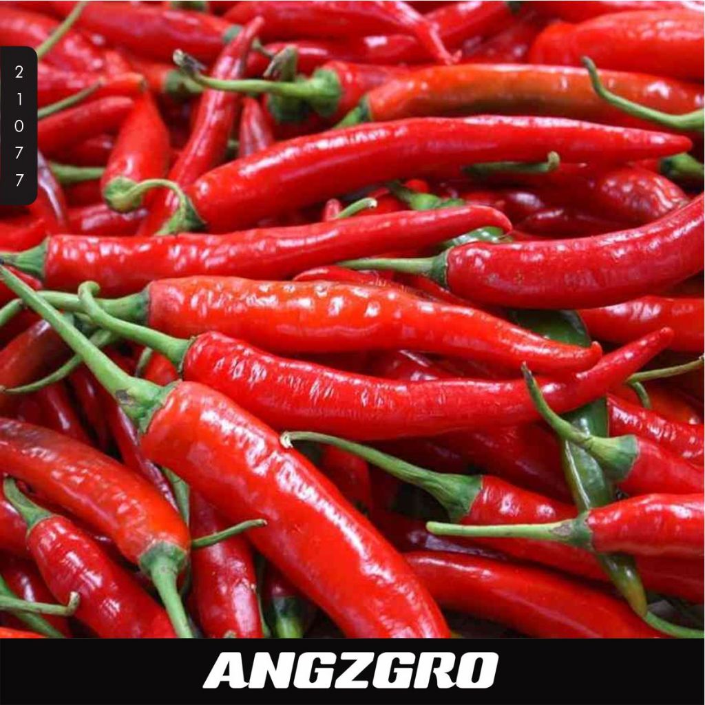 

Cabai Merah Besar 100 Gr