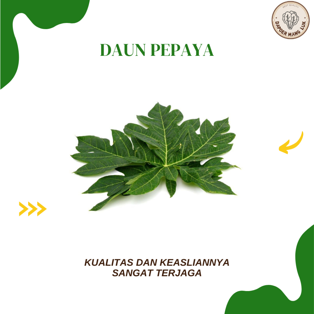 

DRIED SERBUK DAUN PEPAYA BEST SELLER