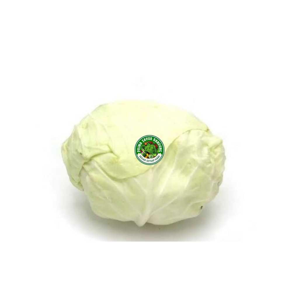 

PRIMA - Sayur Kol Kubis Segar Cabbage Sayur Fresh Bandung