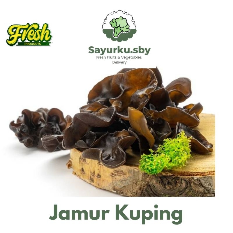 

Sayurku.sby( Bisa kirim instan) Jamur Kuping Fresh per pack