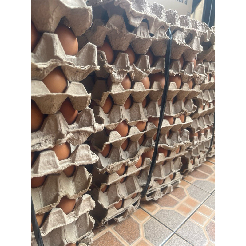 

Telur Ayam Negeri Promoo!!