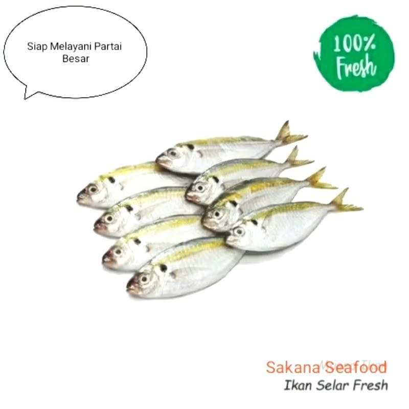 

IKAN SELAR FRESH 1KG