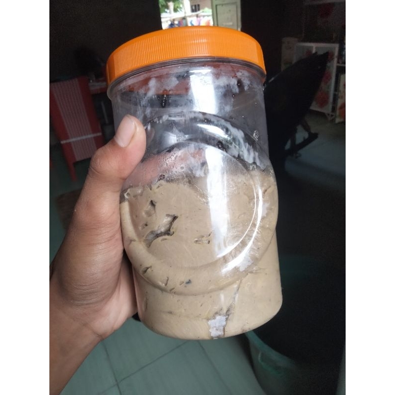 kucur baung/tawes