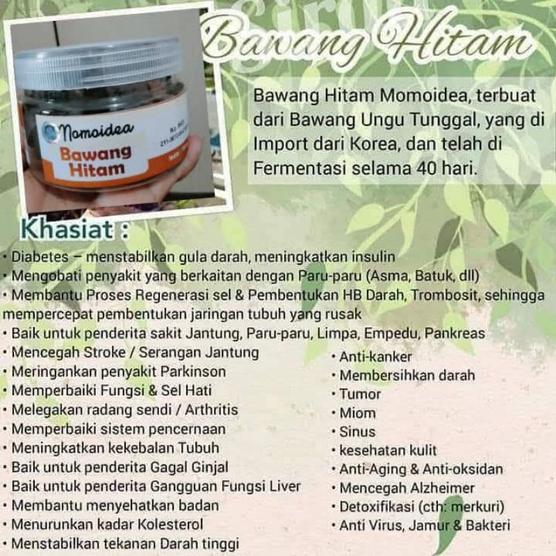 bawang hitam tunggal momo momoidea black garlik