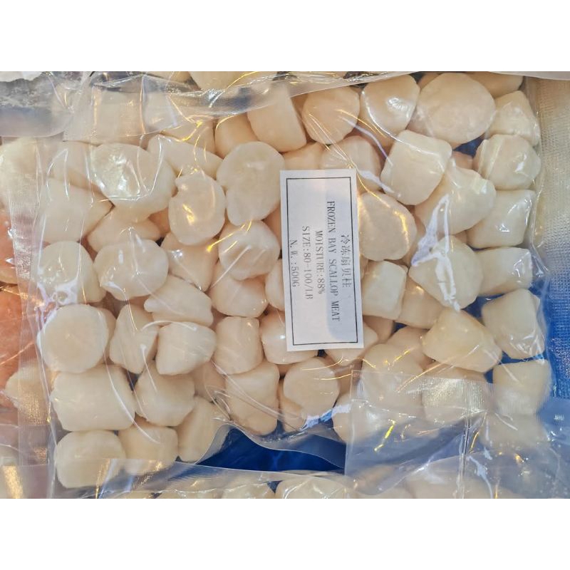 

Scallop Kerang Simping Fresh RJ Fish 1kg