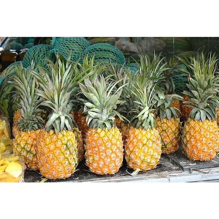 

Buah Nanas / 3 Pcs ( Kirim Instan )