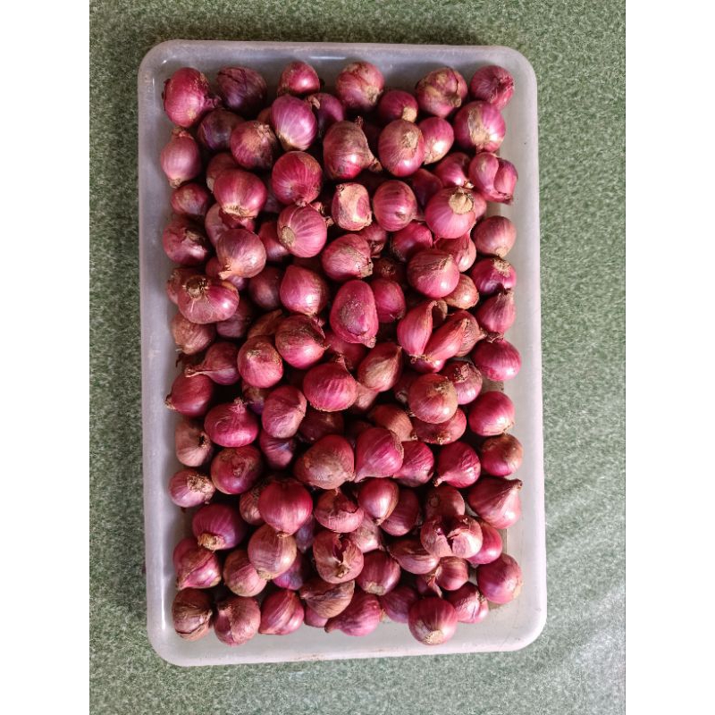 

Bawang Merah Ukuran Besar Asli Padang Kemasan 750 gram murah