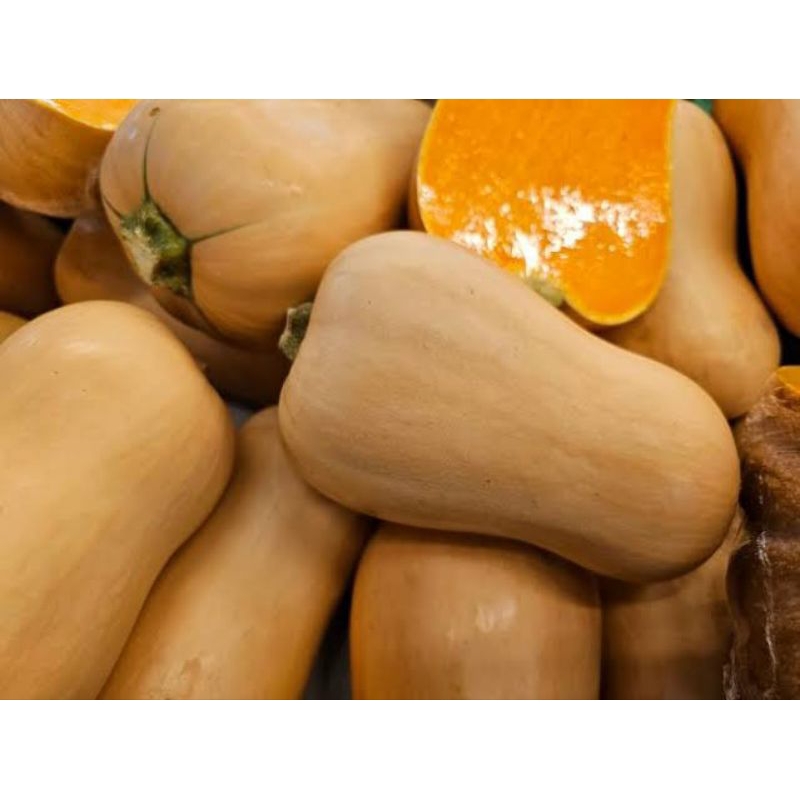

labu madu butternut 1kg