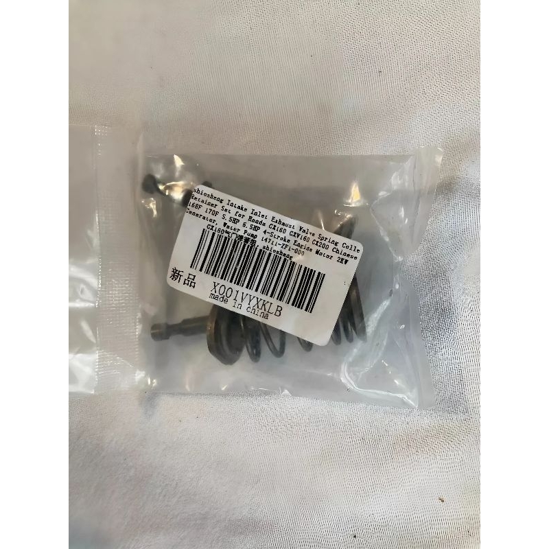 Valve Spring Engine Diesel CX160 CX200