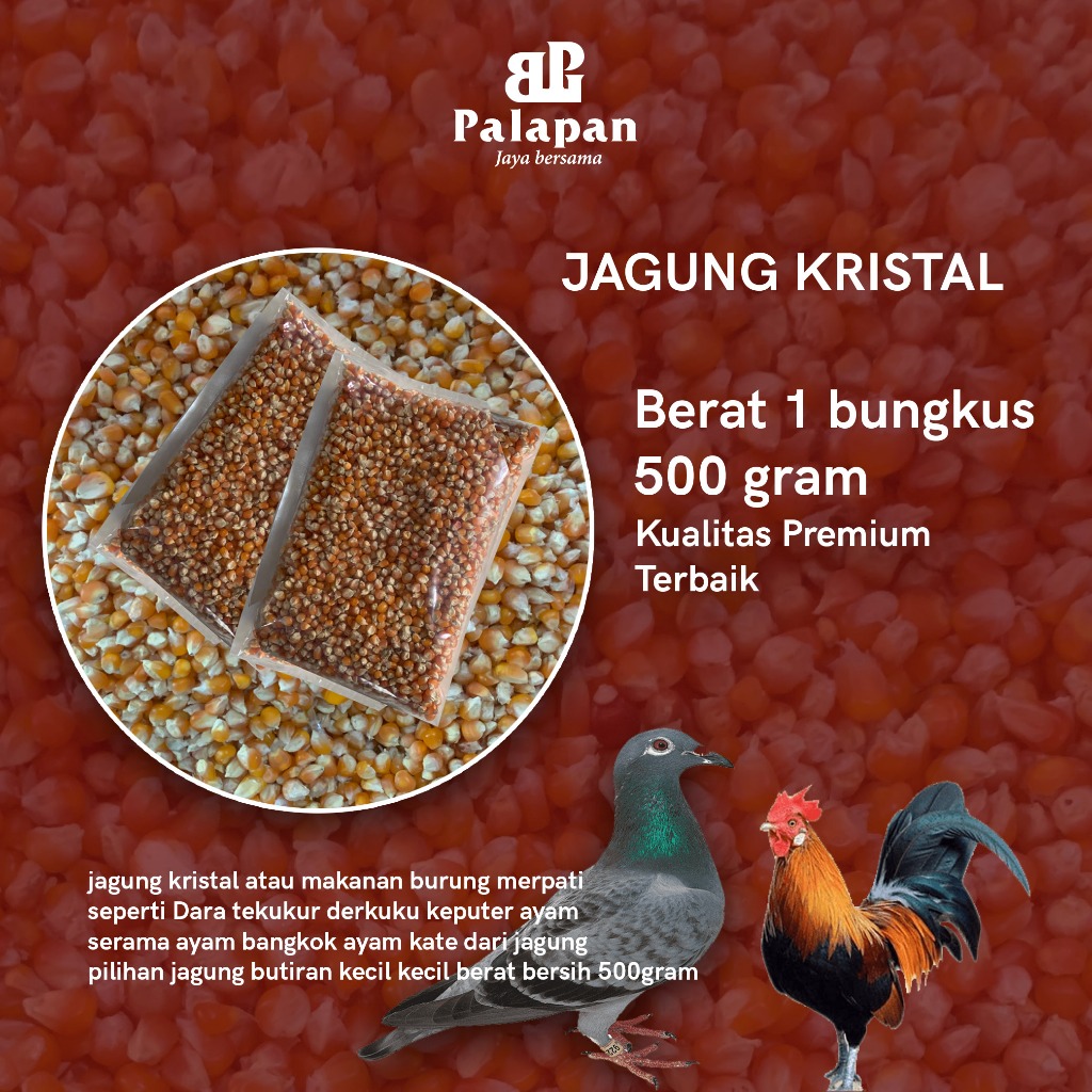 Jagung Kristal / Pakan Burung / Pakan Ayam / Jagung Kristal Premium