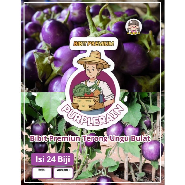 Bibit Premium Terong Ungu Bulat | Benih Terong