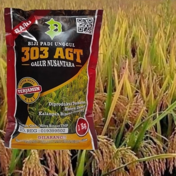 Biji Padi Unggul AGT 303 / Padi 303 AGT / Kemasan 1 Kilogram