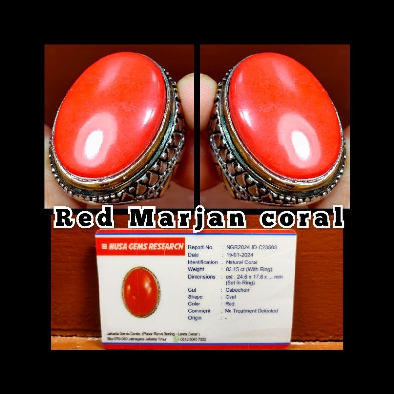 Natural batu  Red Marjan Coral yemen