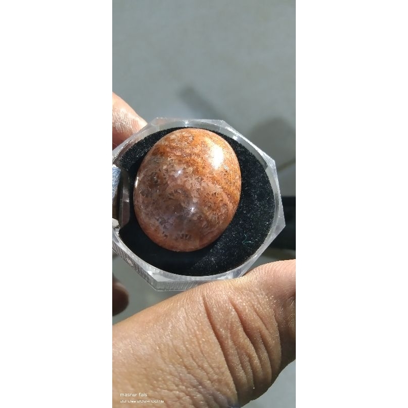 Batu teratai merah langka dan unik