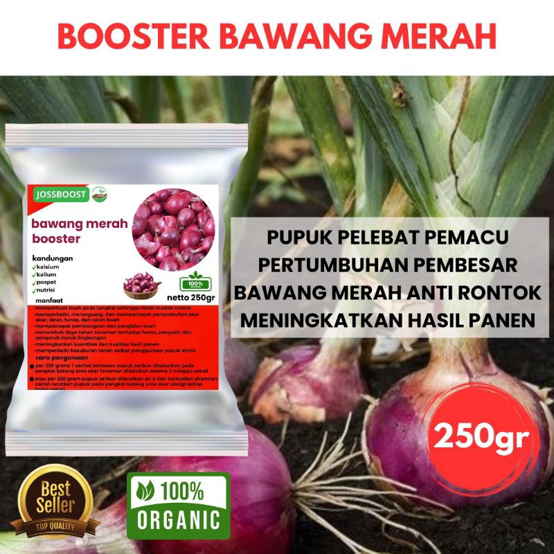 Pupuk Organik Pelebat Bawang Merah Pupuk Khusus Tanaman Bawang Pupuk Booster Bawang Pupuk Penyubur d