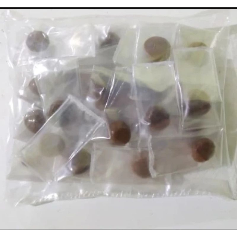 

Getah Inggu Isi 10 butir Obat Vertigo Sakit Kepala Demam Herbal