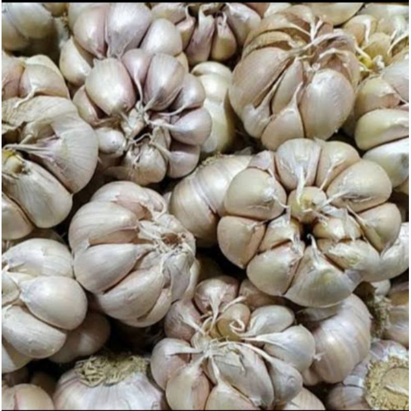 

TERMURAH bawang putih fresh /500g