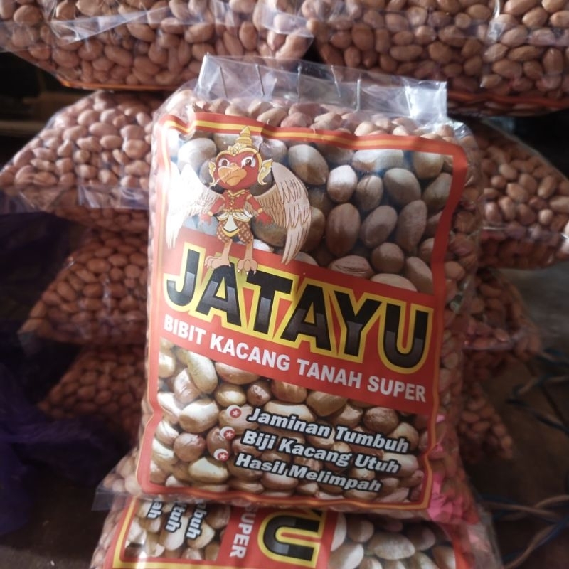 

Benih kacang tanah super berkualitas tinggi siap tanam ½ kg