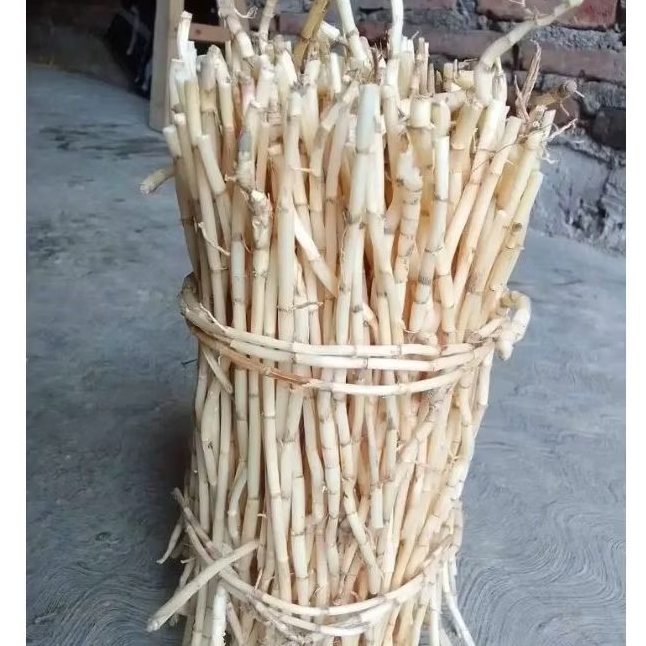 

Akar Alang Alang 1kg obat herbal