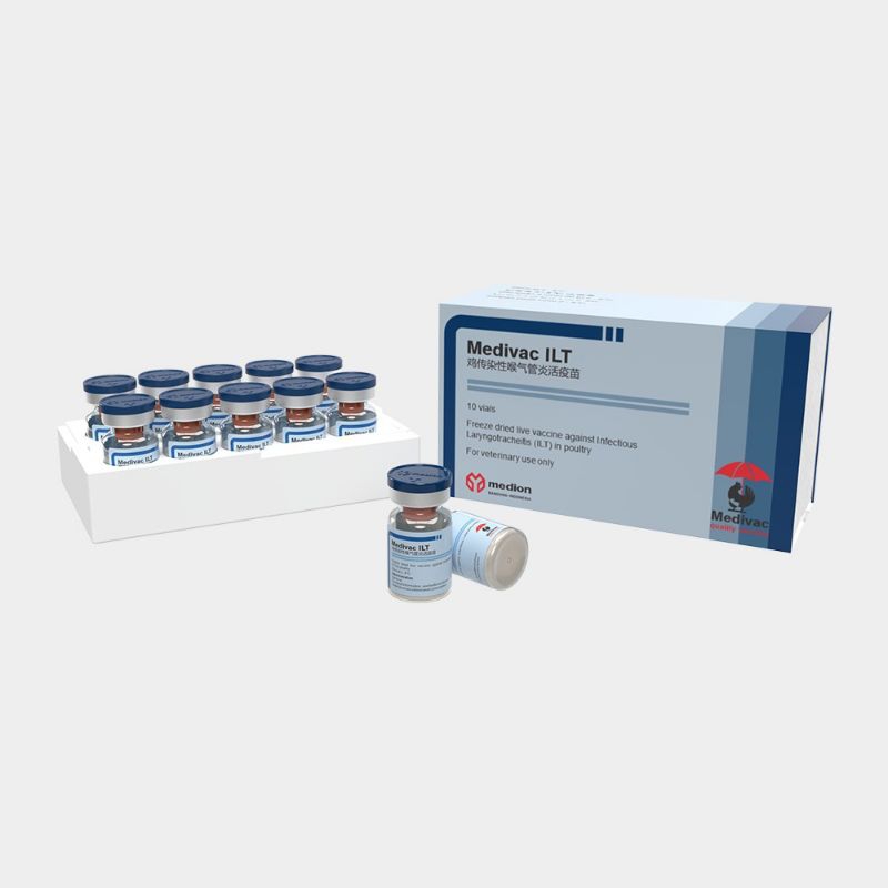 medivac ILT 1000 dosis vaksin ayam aktif produk medion