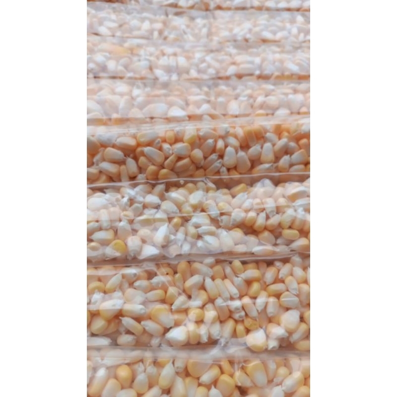 

Jagung Pipil Manis 1 Kg