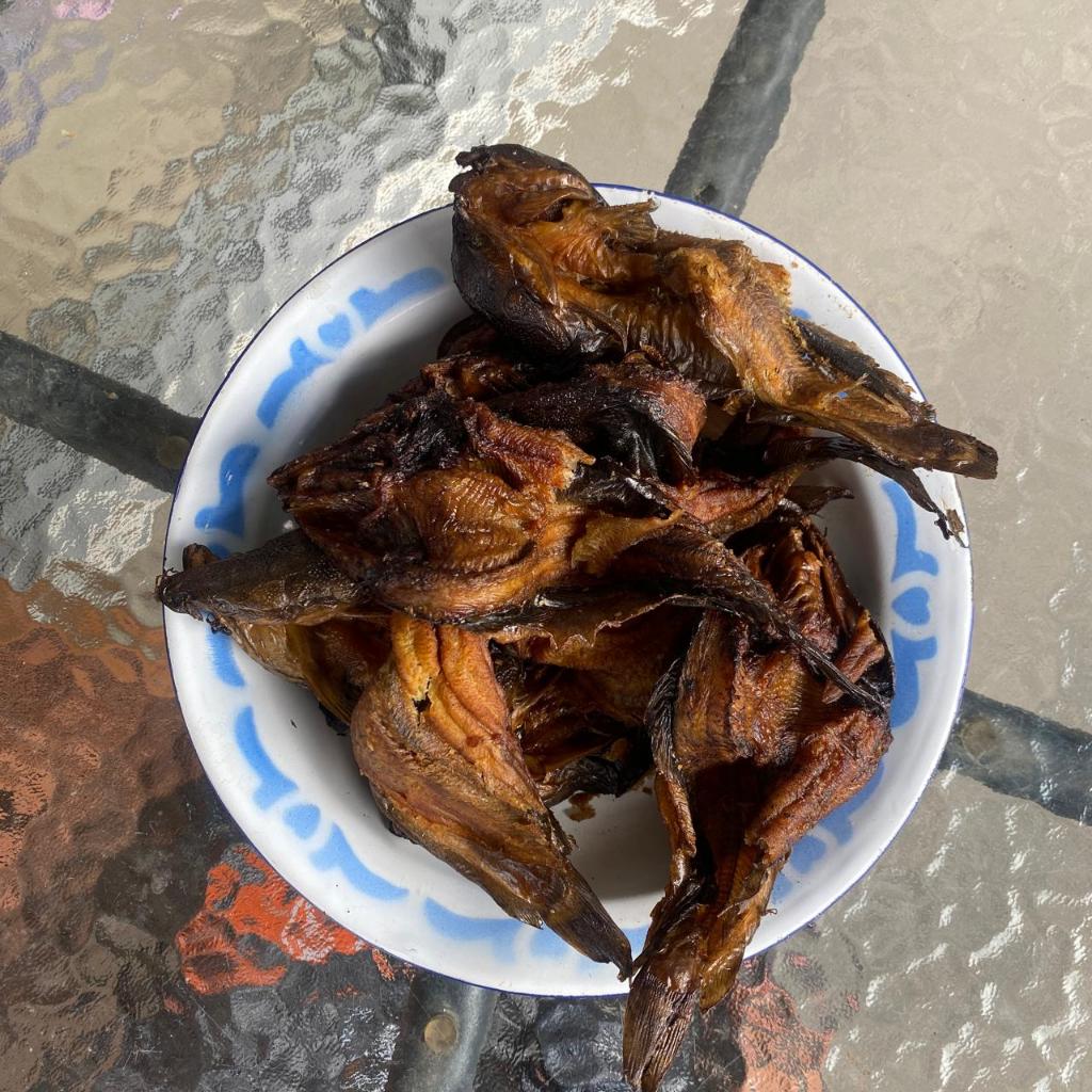 

Promo Lele Asap Asli Padang Kemasan 500 Gram Murah Bukittinggi