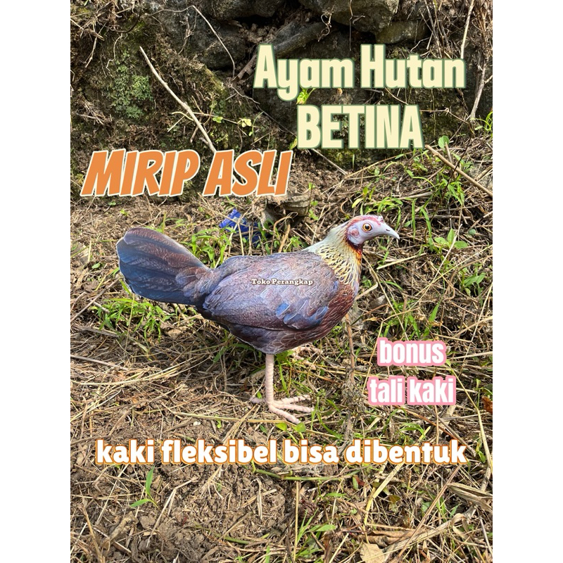 Patung Ayam Hutan Betina