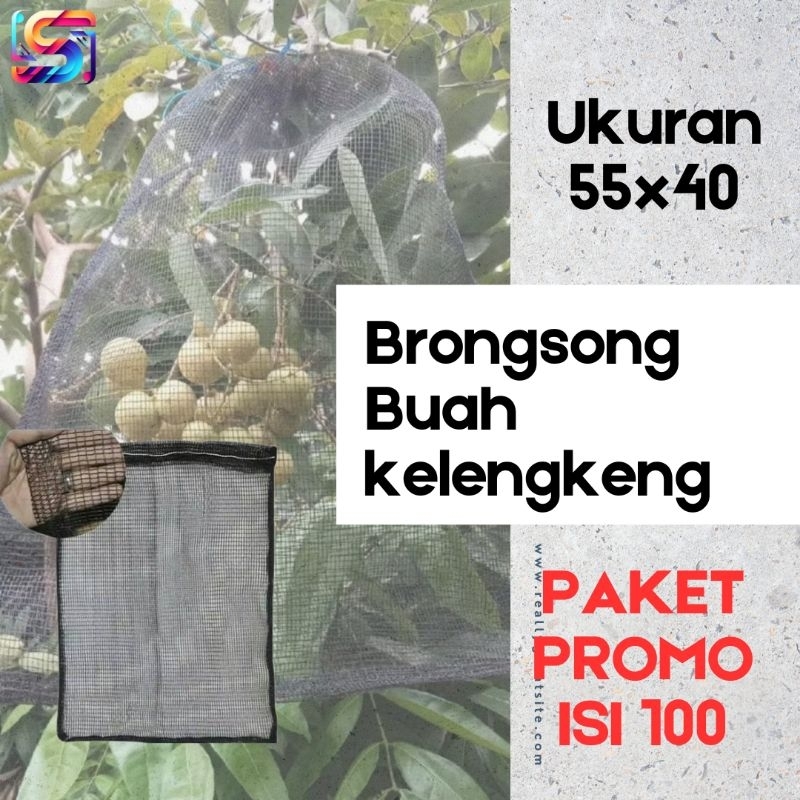 

Brongsong buah kelengkeng