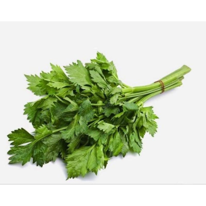 

Daun Seledri Segar 1 ikat KIRIM INSTAN