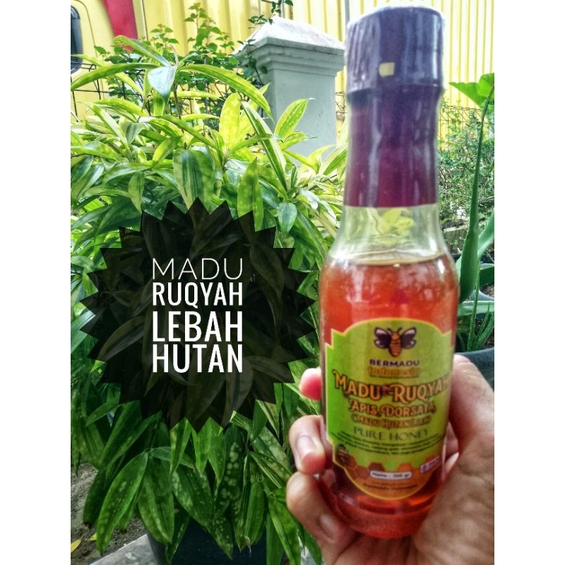 

Madu Ruqyah Apis Dorsata (Lebah Hutan Liar ) 300 gram.