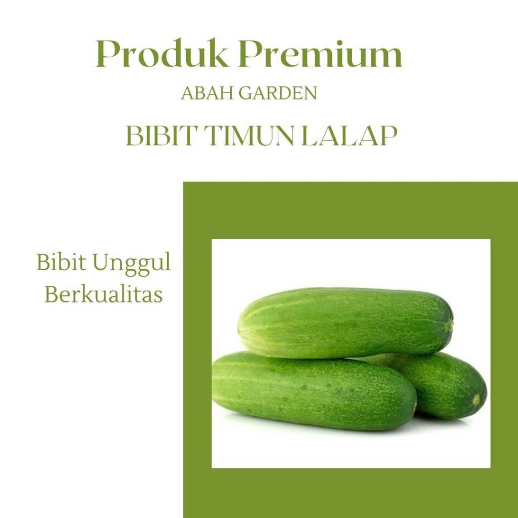 Benih Timun Lalap Bibit Timun Lalap Bibit Unggul