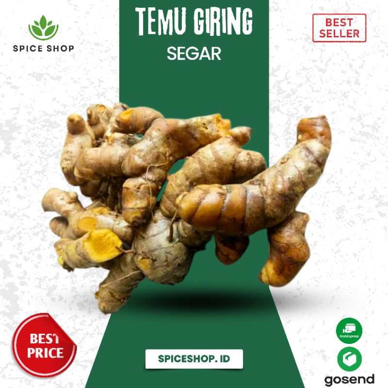 

Temu giring segar / temu glenyeh - Spiceshop