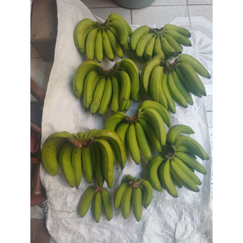 

Pisang Banban