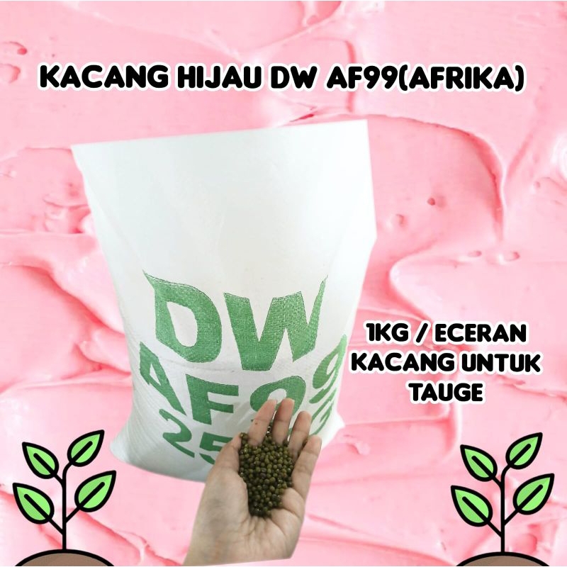 Kacang Hijau DW AF99 (Afrika) 1Kg/Per KG