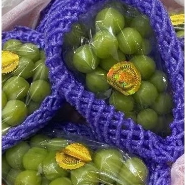 

Anggur Hijau Shine Muscat Bucket