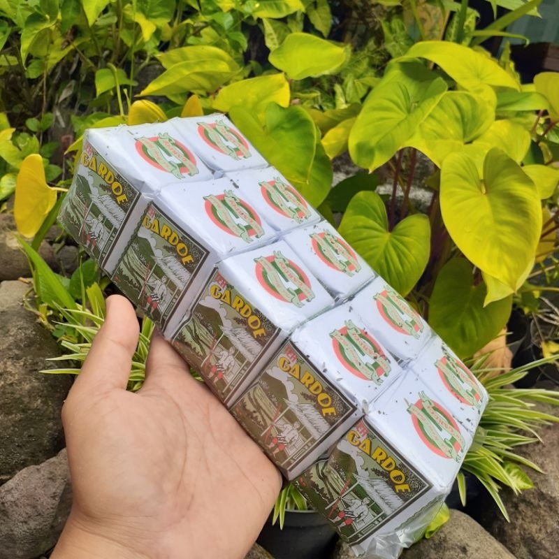 

Teh Gardoe Hijau 10pcs (Baru+murah)