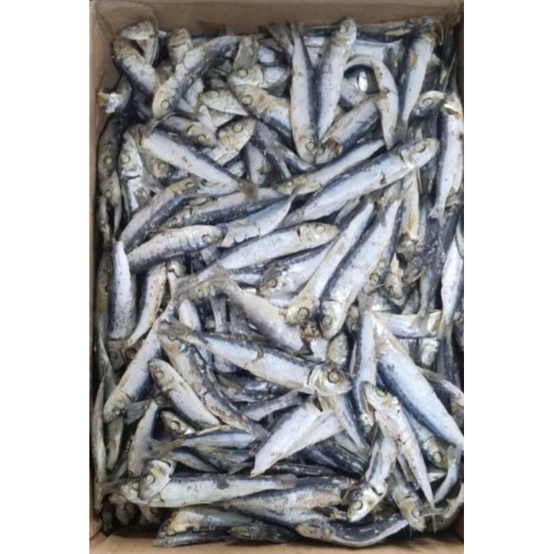 

ikan asin sarden / ikan asin lesi murah 1kg