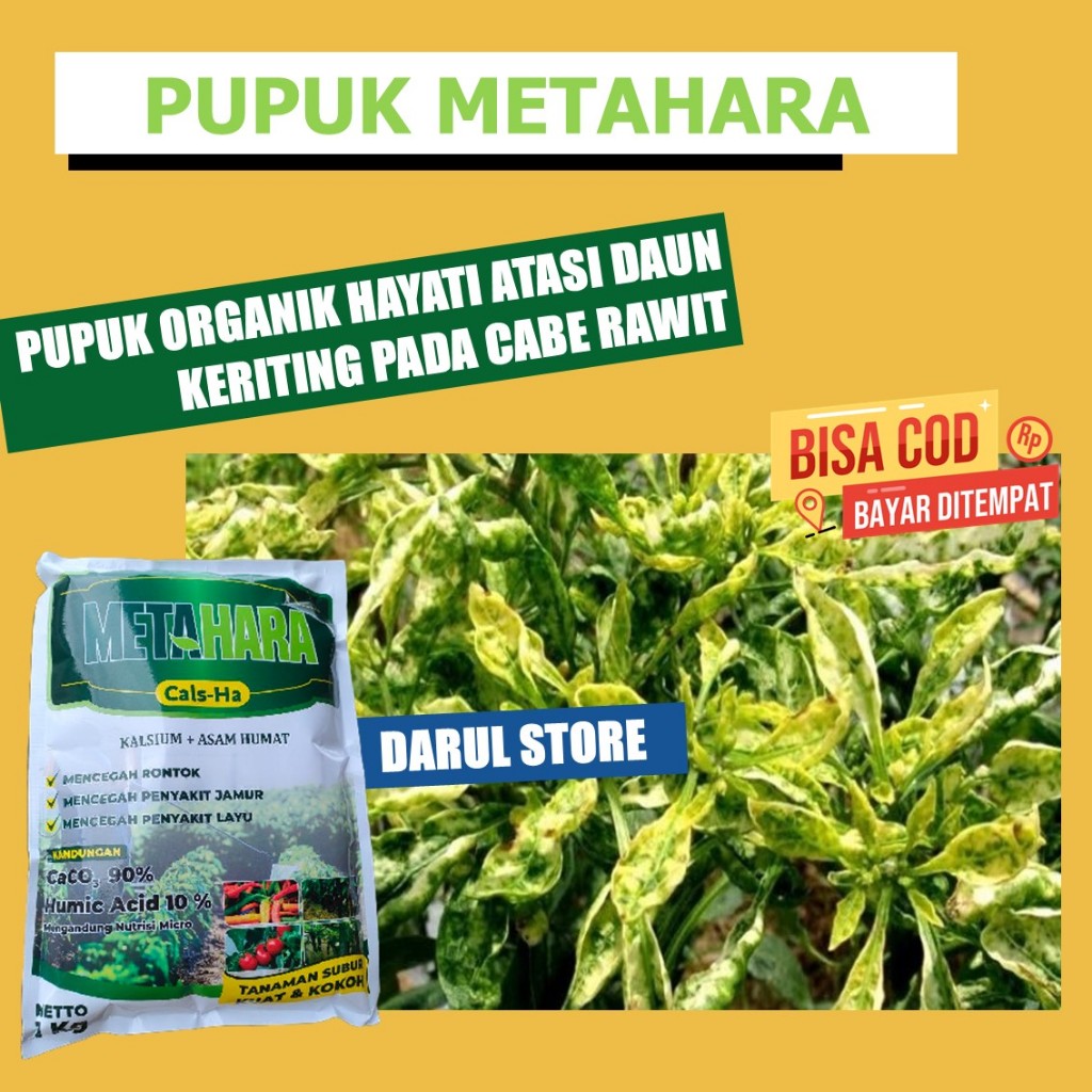 PUPUK TANAMAN CABE METAHARA 1 KG MENGOBATI DAUN KUNING/KERITING DAN LAYU PUCUK CABE - OBAT CAIR ORGA